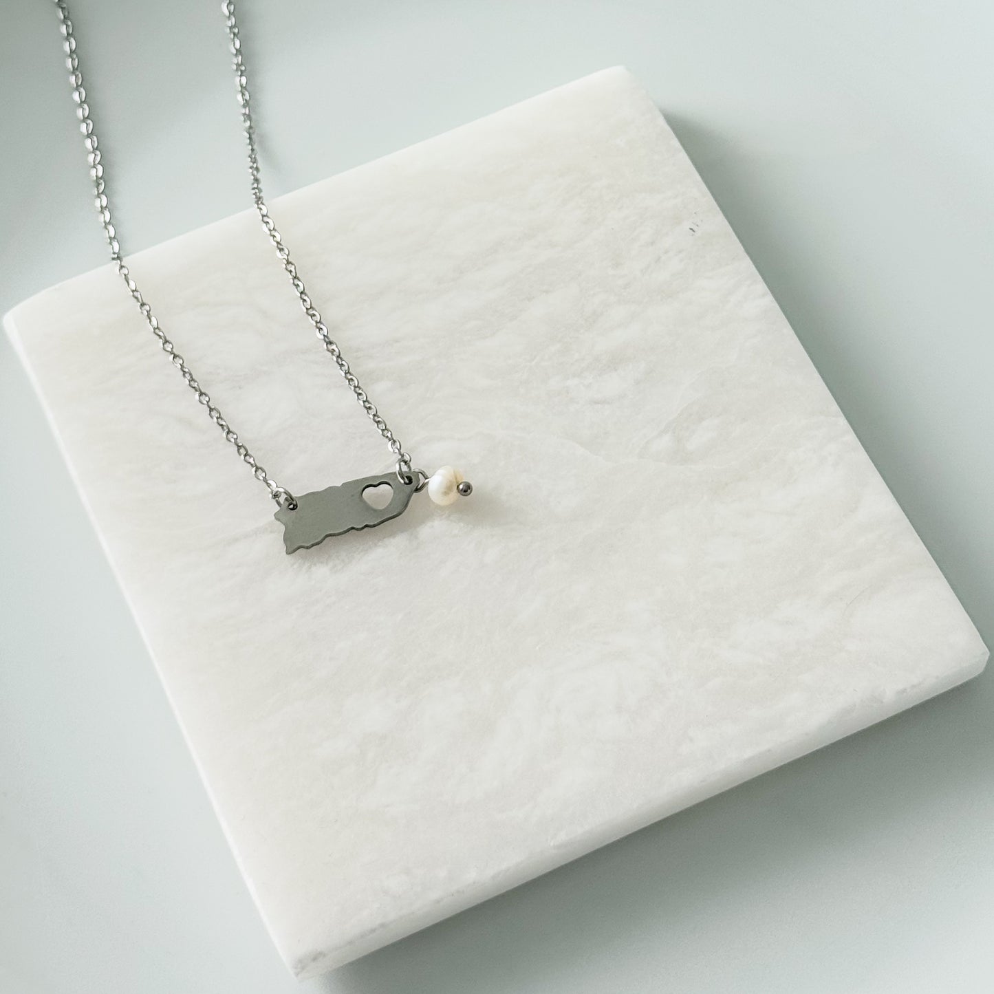 100x35 Necklace (silver)