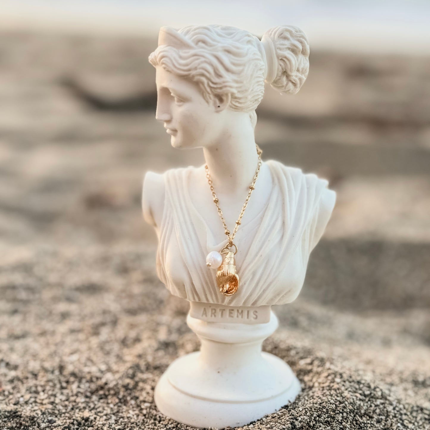 Sea Shell Necklace